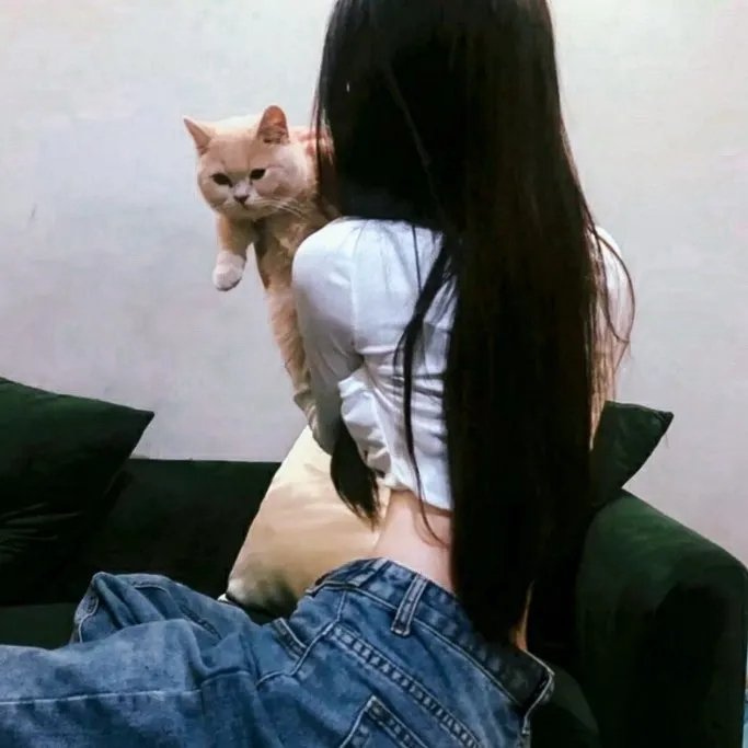 与狼共舞2
